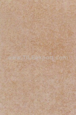 Floor_Tile--Porcelain_Tile,300X450mm[Wall_and_Floor],34505_3